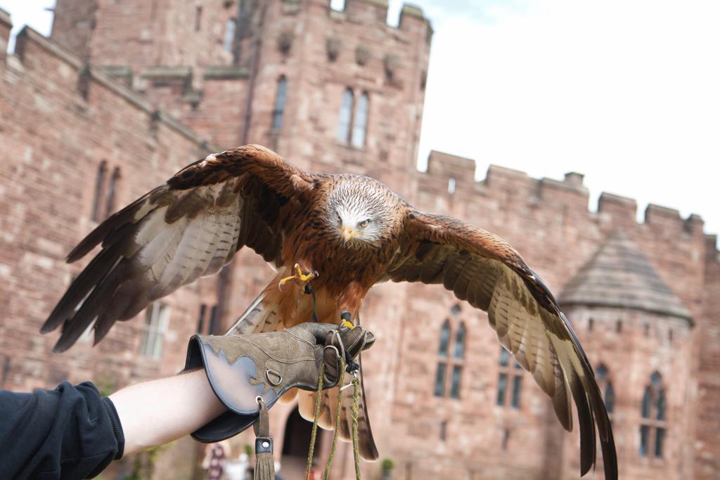 Peckforton Castle Tarporley Extérieur photo